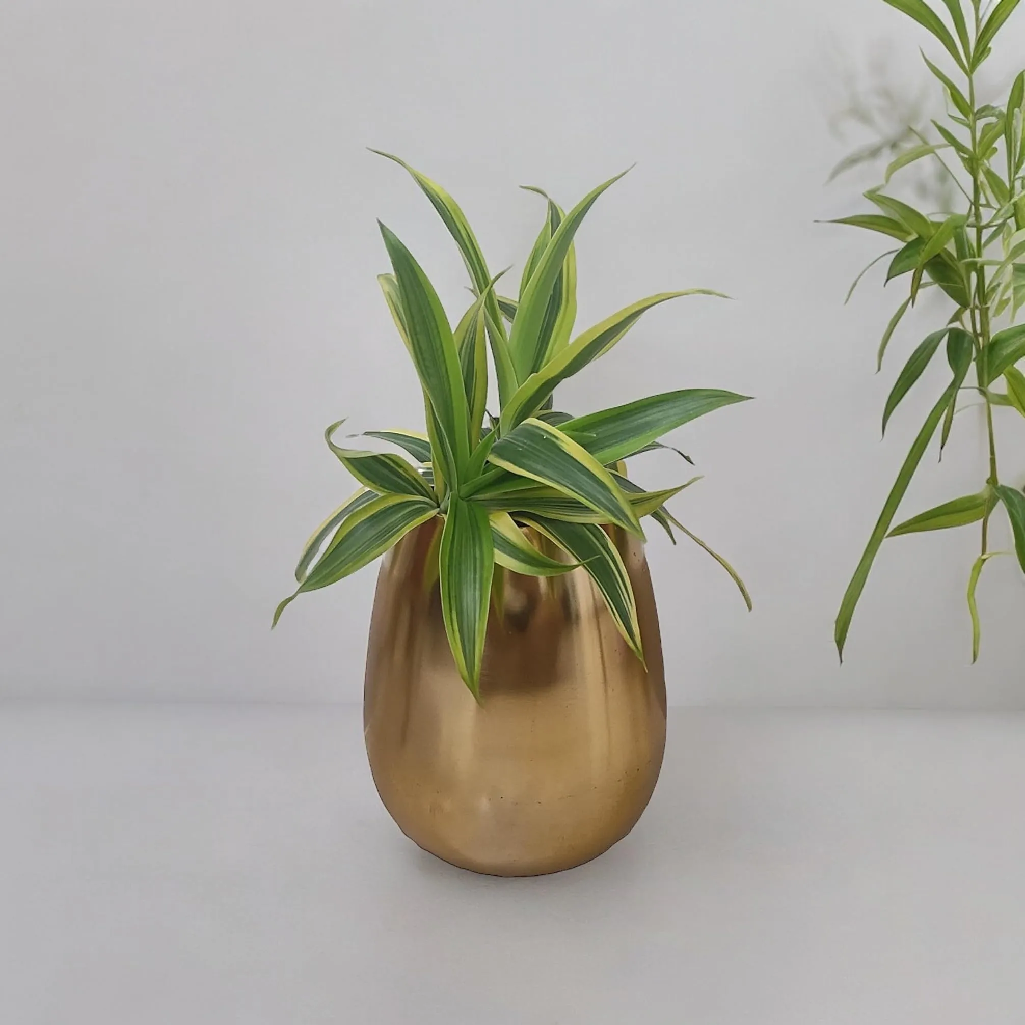 Akanksha Arts Flower Vase - Golden Colour- 6.5 inches high - Made of Aluminium -