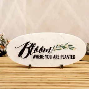 Bloom Bright Showpiece