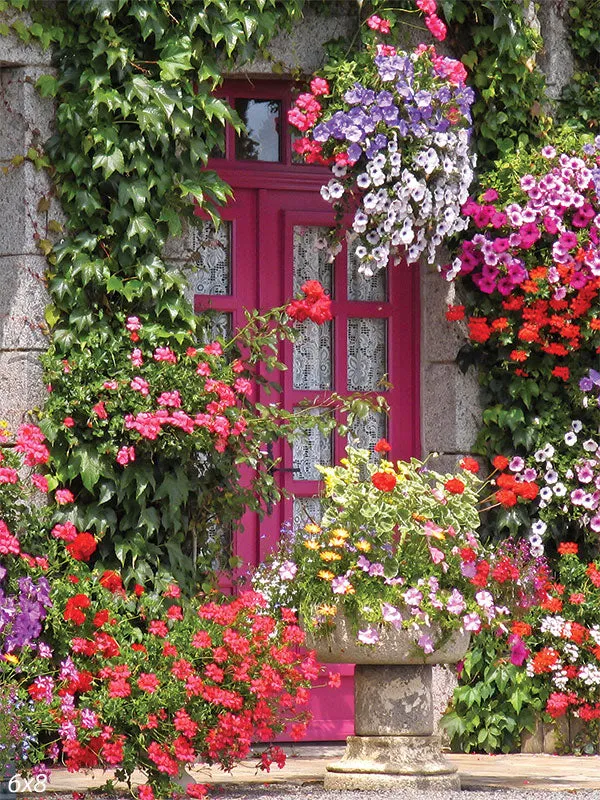 Front Garden Backdrop