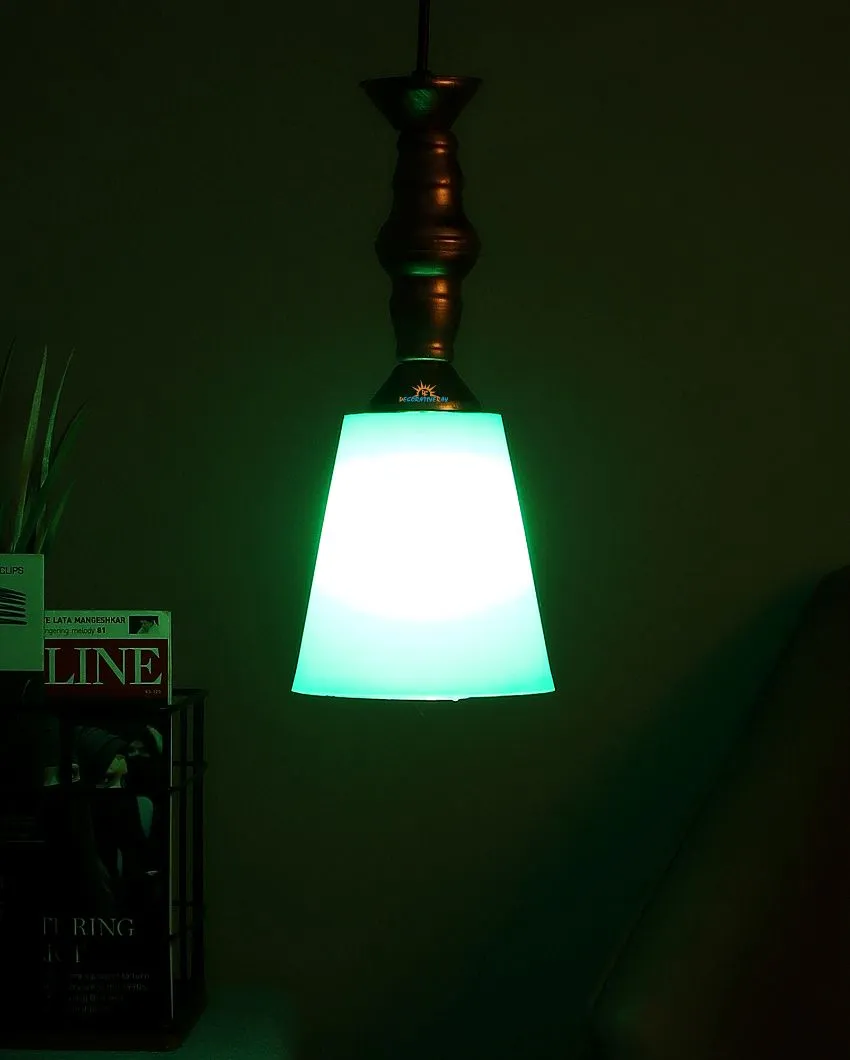Modern Single Antic Hanging With Pvc Glass Ceiling Lamp