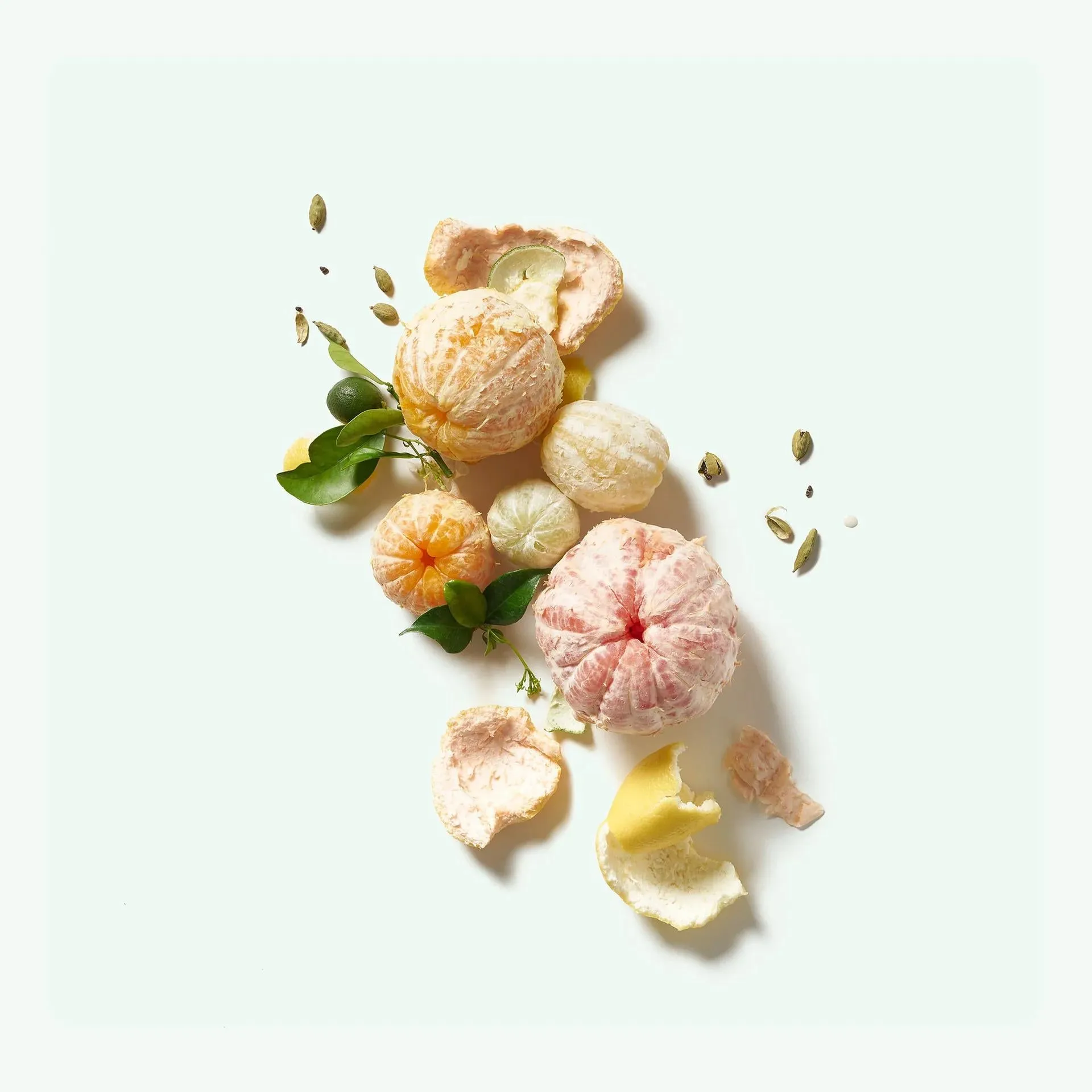 Natural Body Wash