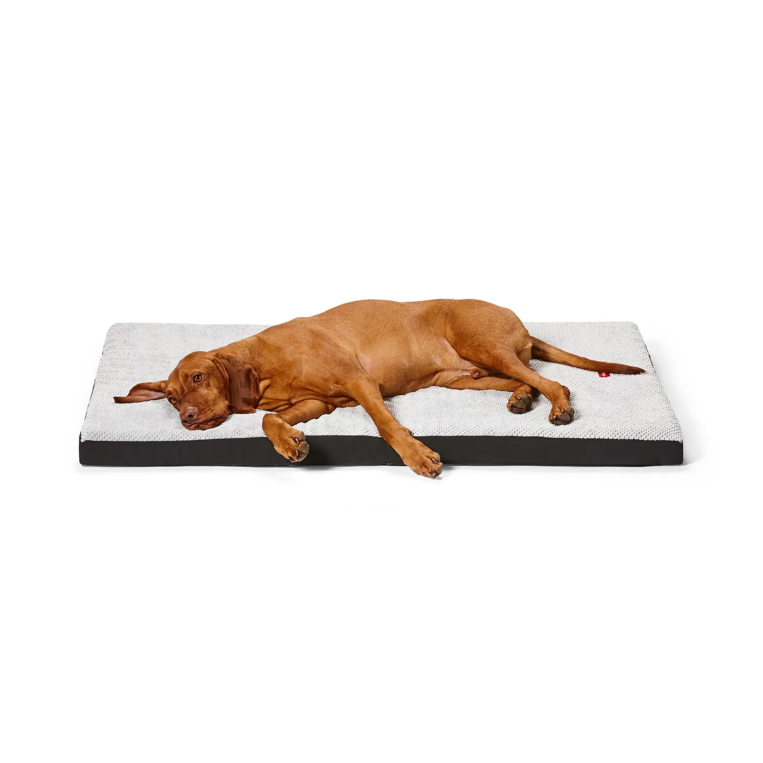 Snooza Ortho Dog Bed Plush Grey