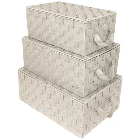 Storage Woven Basket with Lid (3 Pack)