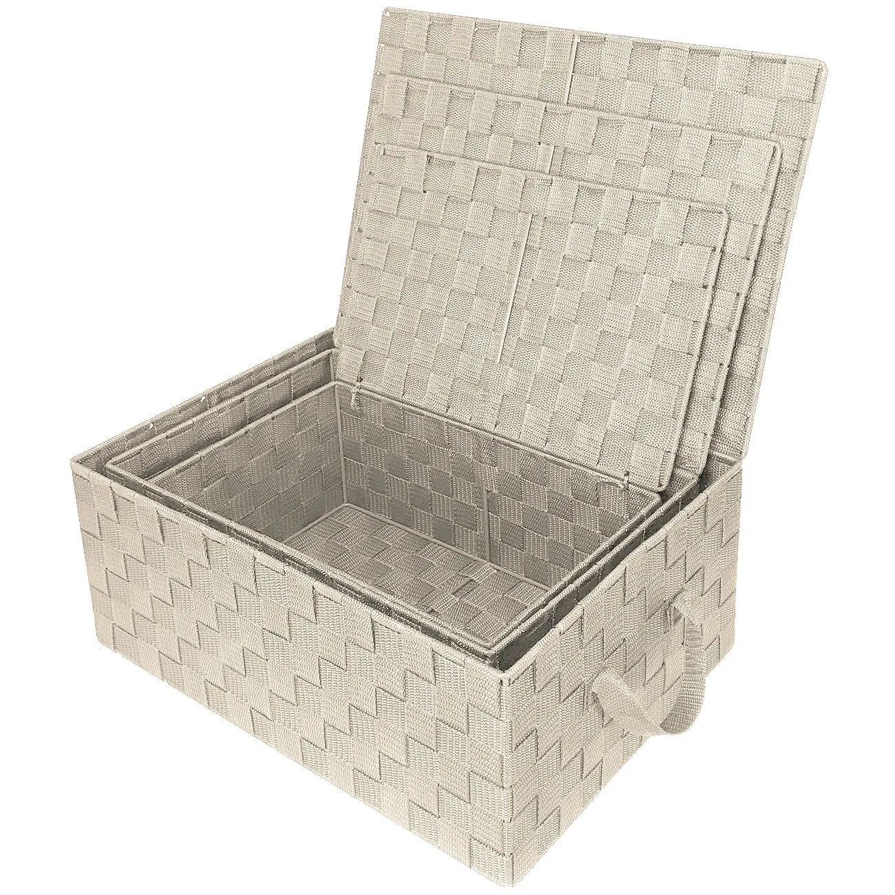 Storage Woven Basket with Lid (3 Pack)