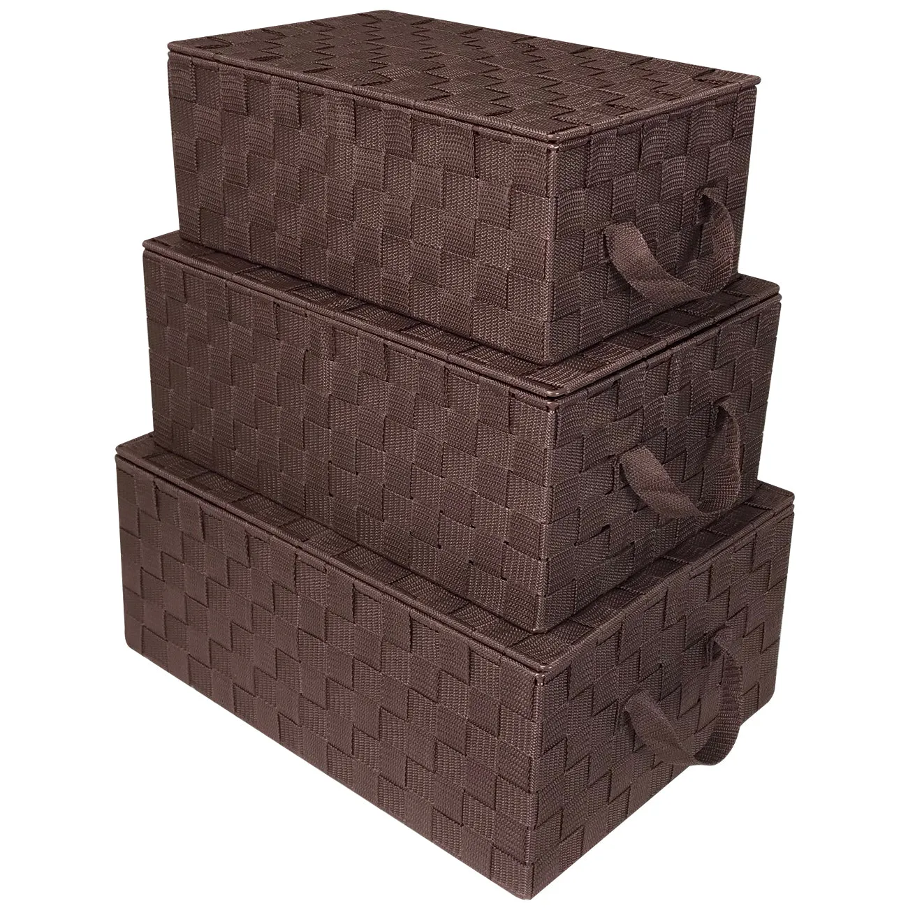 Storage Woven Basket with Lid (3 Pack)