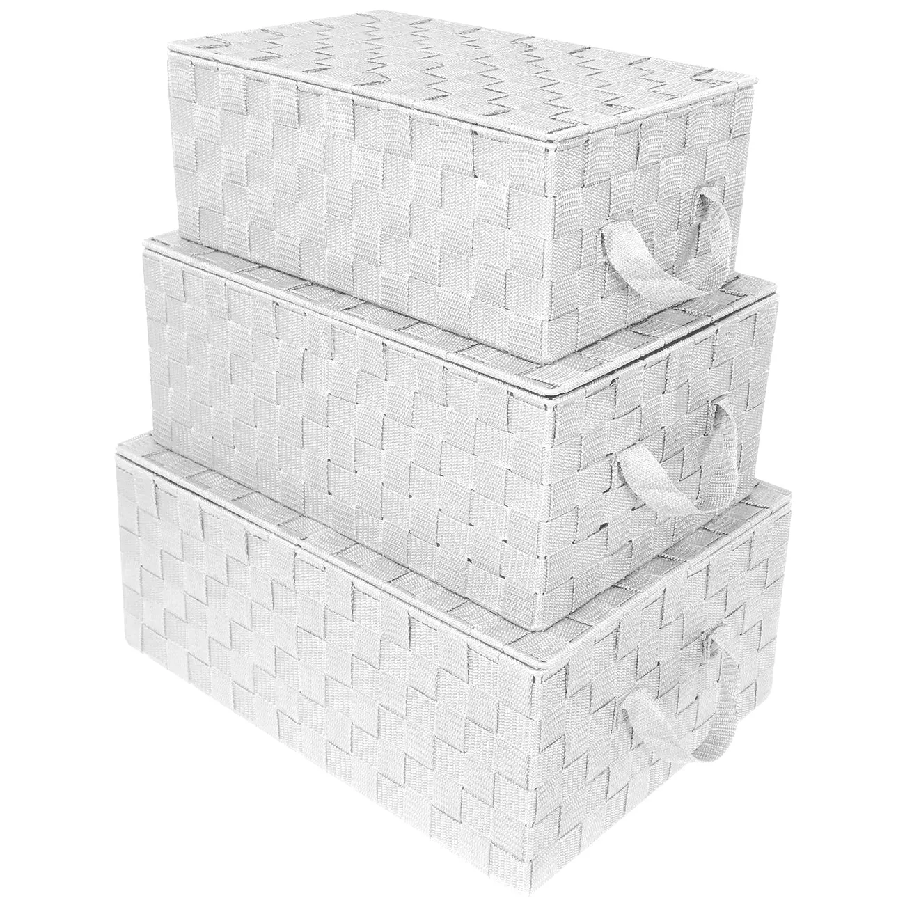 Storage Woven Basket with Lid (3 Pack)
