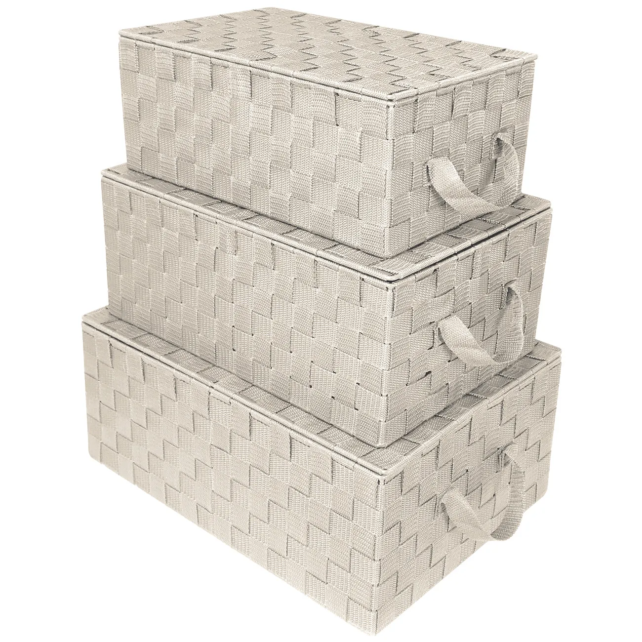 Storage Woven Basket with Lid (3 Pack)