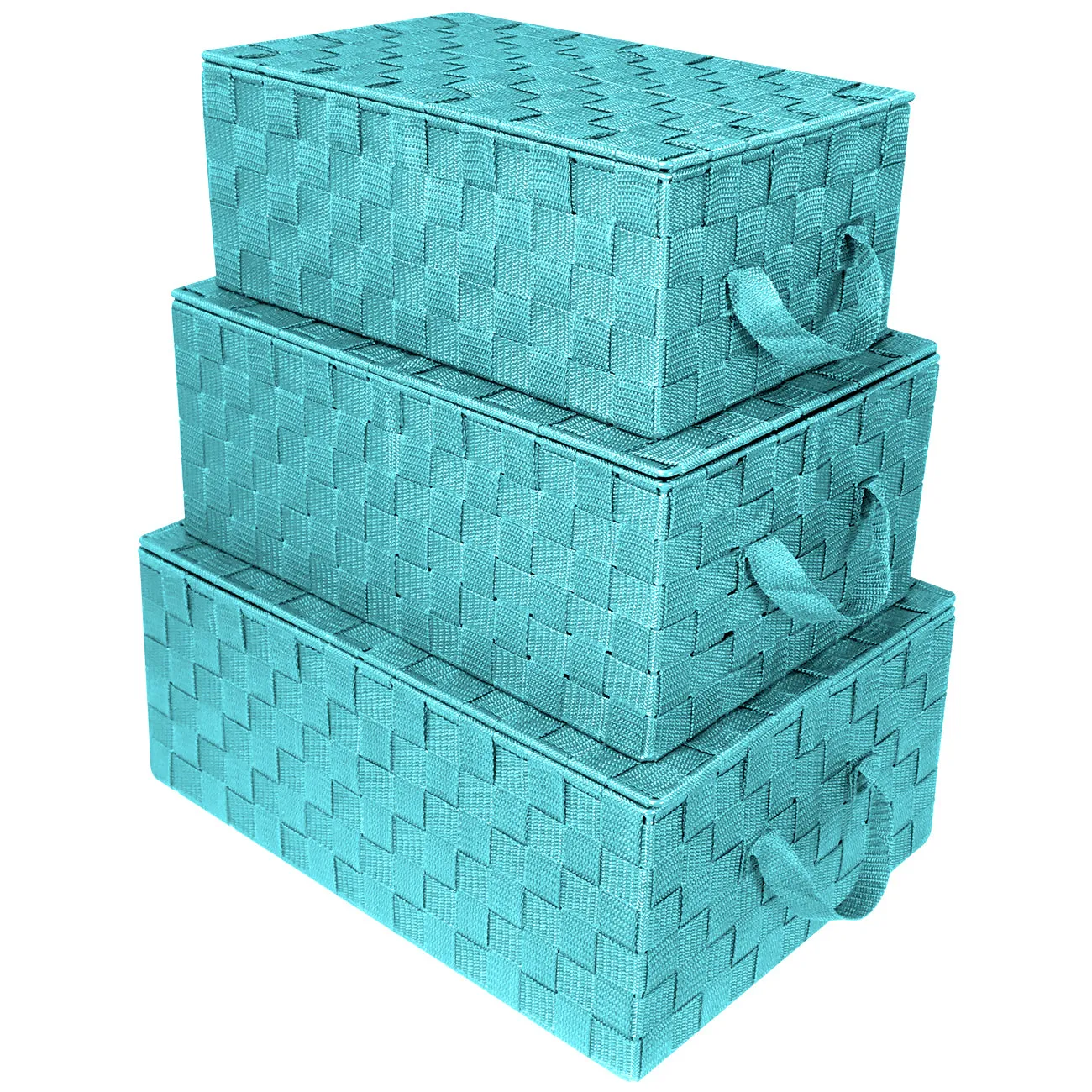 Storage Woven Basket with Lid (3 Pack)