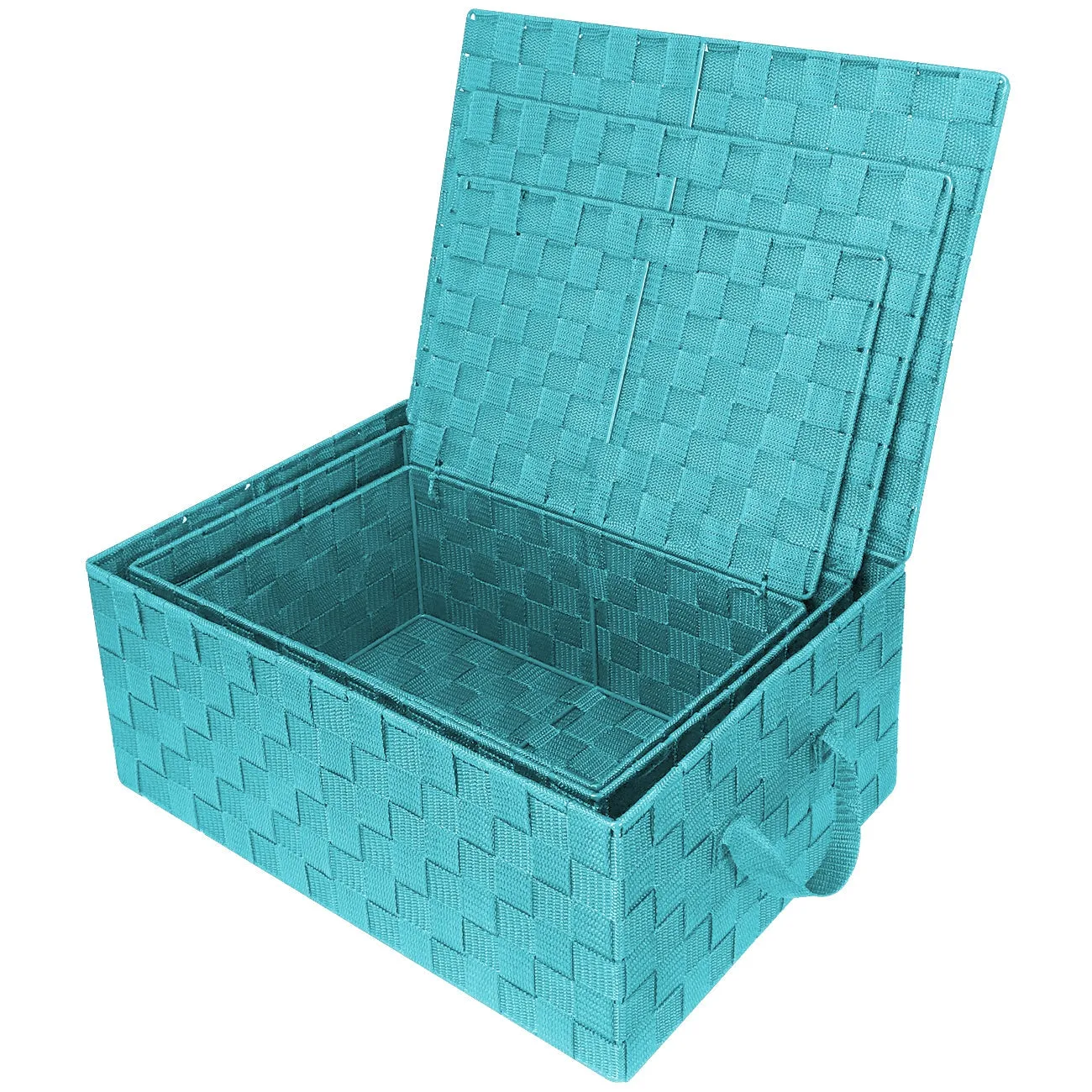 Storage Woven Basket with Lid (3 Pack)