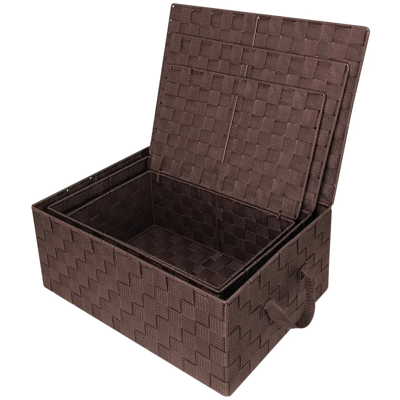 Storage Woven Basket with Lid (3 Pack)