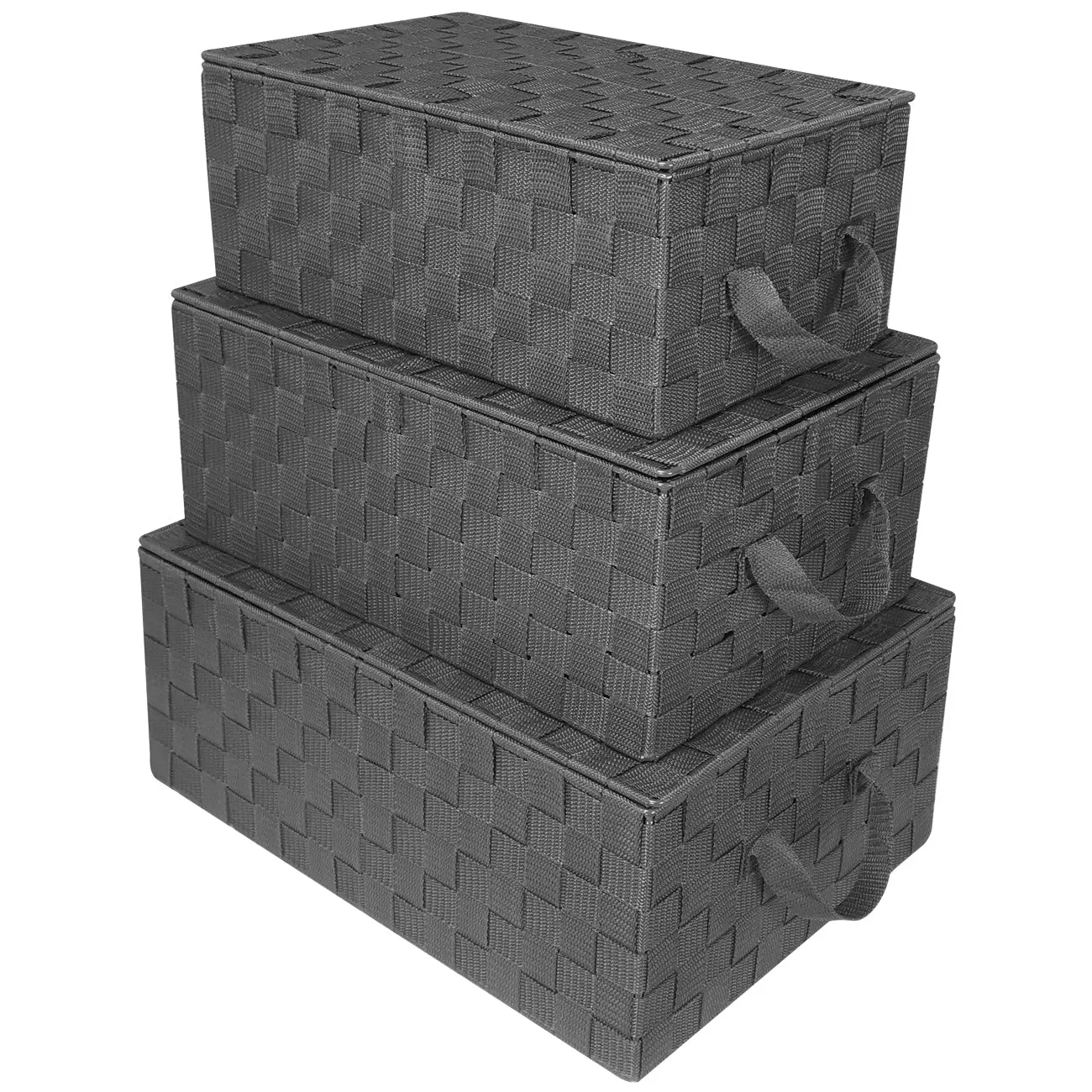Storage Woven Basket with Lid (3 Pack)