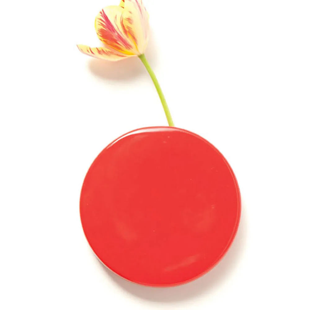 Wall Dot Ceramic Flower Vase Kit