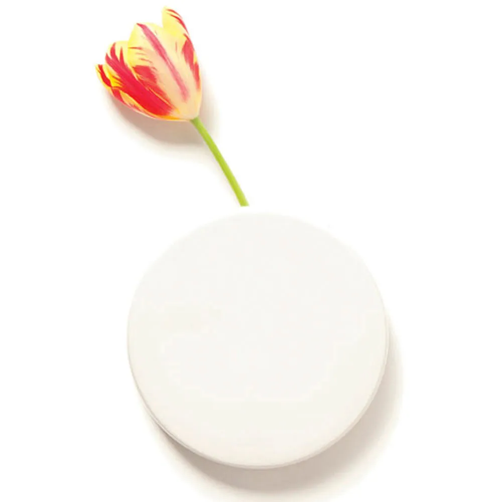 Wall Dot Ceramic Flower Vase Kit