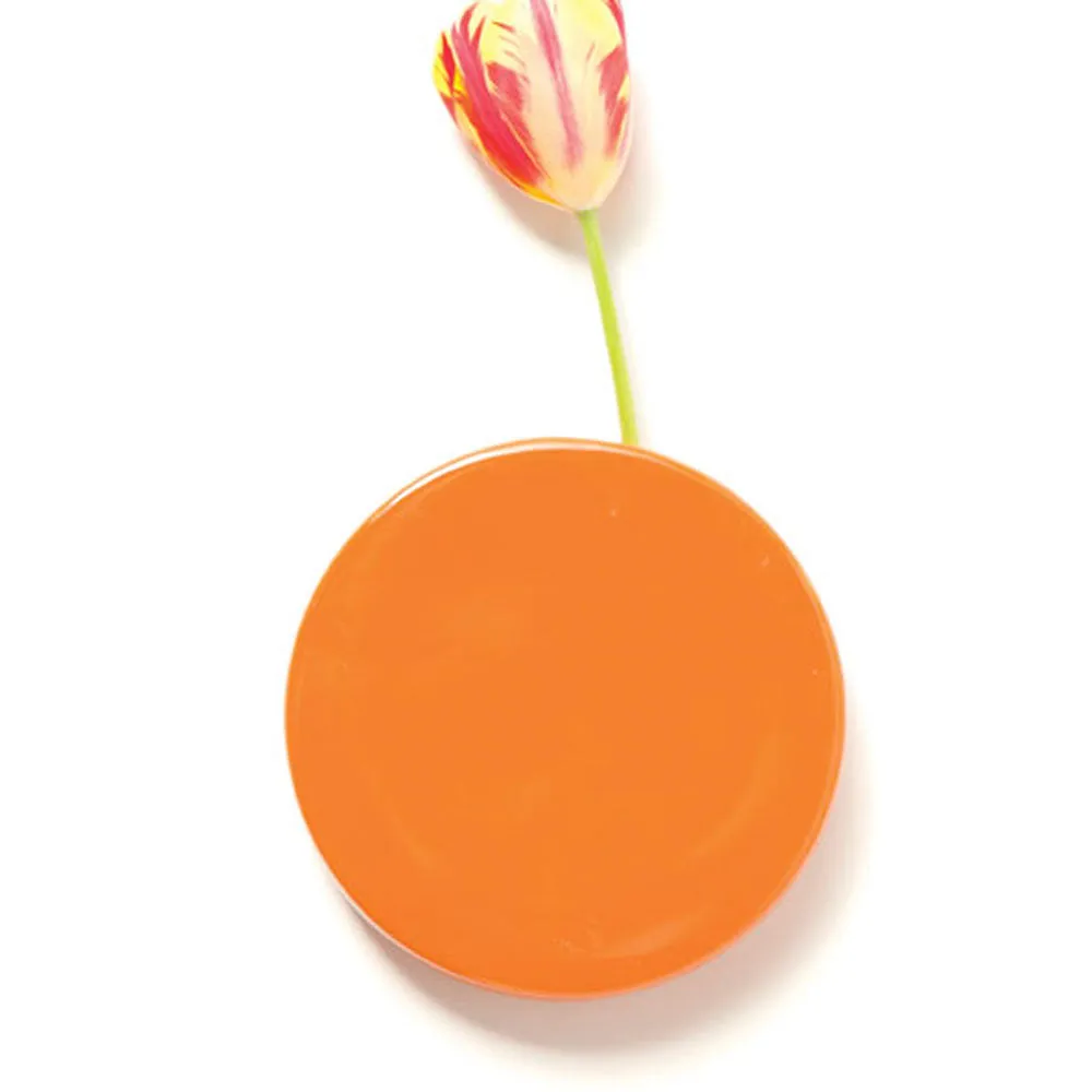 Wall Dot Ceramic Flower Vase Kit